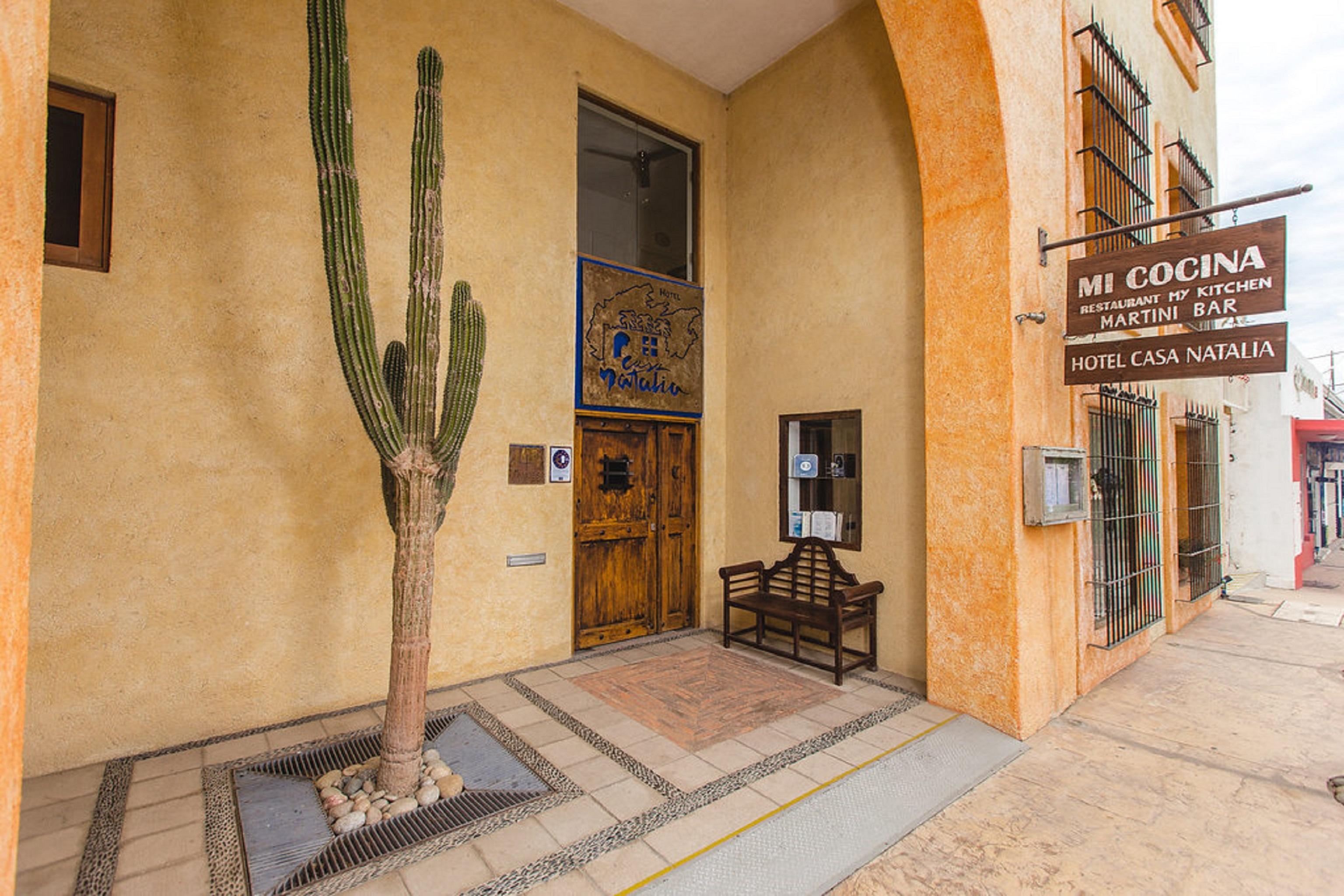 Casa Natalia Boutique Hotel Adults Only San José del Cabo Zewnętrze zdjęcie