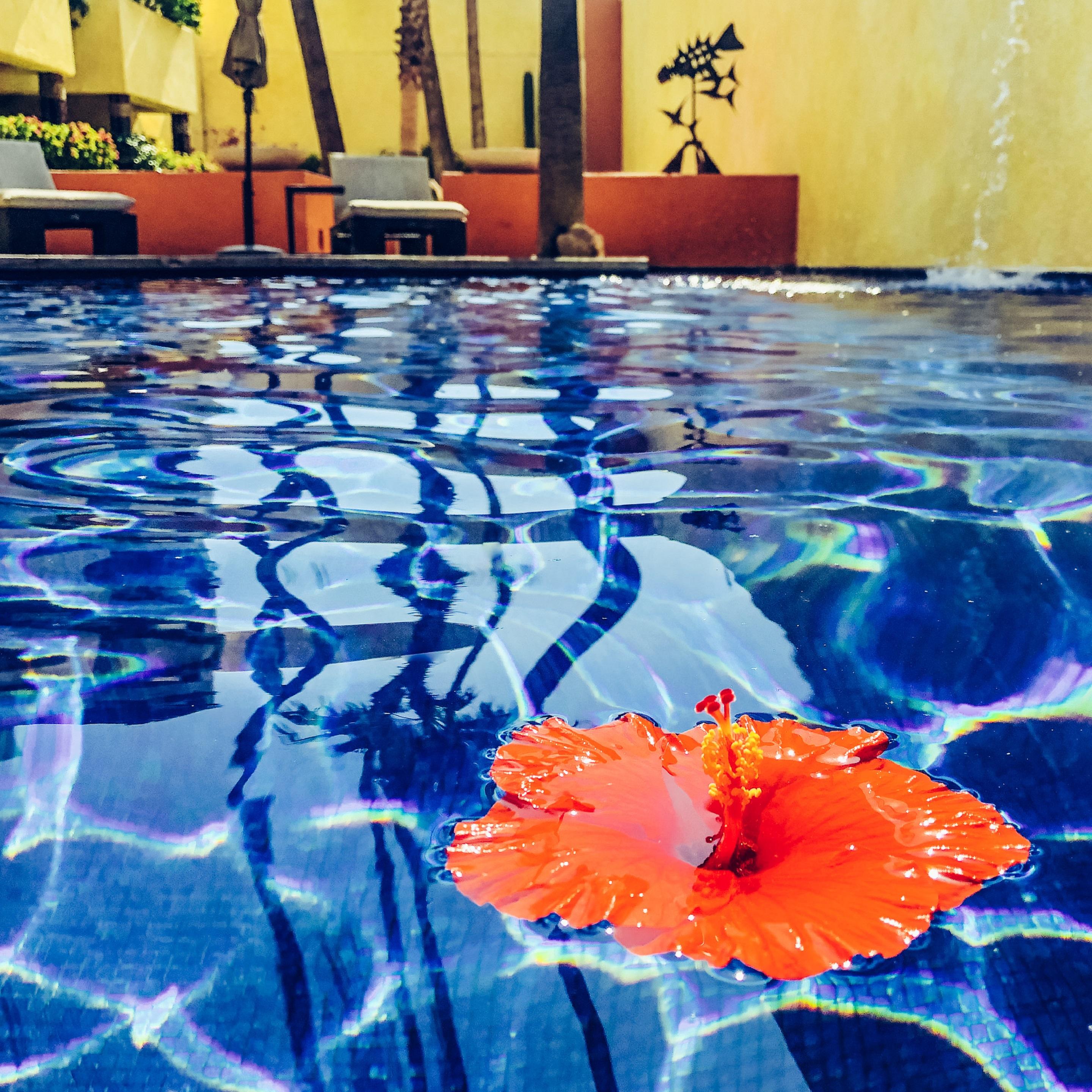 Casa Natalia Boutique Hotel Adults Only San José del Cabo Zewnętrze zdjęcie